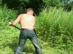 В Городище 26-летний парень вырастил для себя 26 кустов конопли