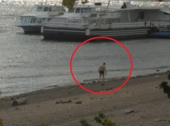 Волгоградский морж устроил на Хэллоуин заплыв в Волге под ураганный ветер 