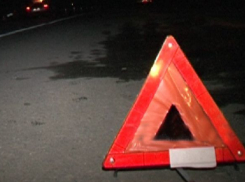 Липчанин на грузовой «Газели» насмерть задавил мужчину на трассе в Волгоградской области