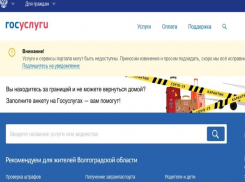 Волгоградцы массово жалуются на неработающий сайт Госуслуг