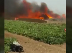 На видео попали кадры пожара на полях под Волгоградом