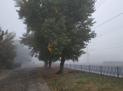 Ночной «плюс» и туман задержатся в Волгограде