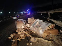 Водитель фуры выжил после падания с 40-метрового моста в Волгограде