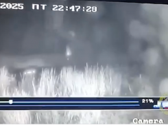 Появилось видео утопления «Нивы» во время погони в Волгоградской области 