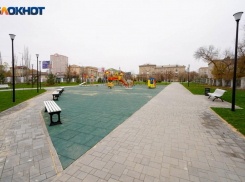 В мэрии Волгограда прокомментировали ситуацию с засохшими соснами в сквере 8 марта