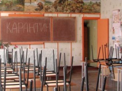 В Волгограде из-за гриппа все школы до 15 февраля закрыты на карантин 