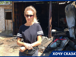 В конюшне, где сгорели 7 лошадей, найдена нефтесодержащая жидкость, – руководитель волжского конно-спортивного клуба Алла Сверчкова 