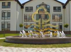 Волгоградские «Сады Придонья» обвинили в загрязнении почвы на 131 миллион рублей