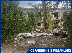 Смертельно опасная приманка манит детей и бомжей на севере Волгограда