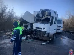 Есть погибший: кадры жуткого ДТП с фурами под Волгоградом 