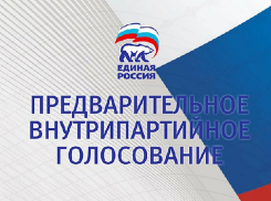 Сайт «Единой России» рухнул в первый день предварительного голосования