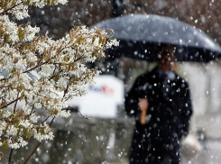 Синоптики обещают волгоградцам дождь со снегом