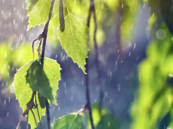 На Троицу в Волгоградской области будет до +23ºС и дожди