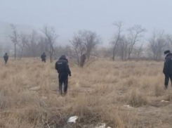 В Волгограде нашли человеческую ногу: возбуждено уголовное дело