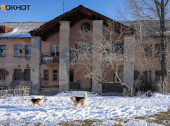 Глобальный рост цен прогнозируют в Волгограде после повышения ставки ЦБ до 20%