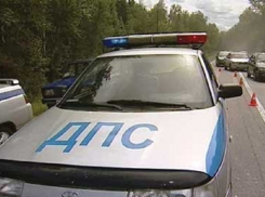 Под Волгоградом 26-летний мужчина просил жену избить его в авто полицейских