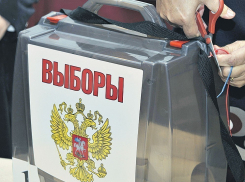 На выборах Президента РФ в Волгограде отменят открепительные удостоверения