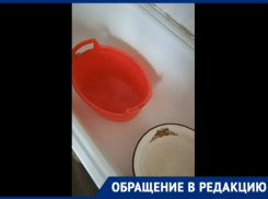 «Кто-то газоны поливает, а нам попить нечего»: поселок под Волгоградом вторую неделю мучается без воды