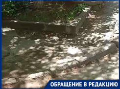 Изъеденный будто язвой дырявый асфальт не дает жизни волгоградцам