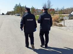Девять новых нарушителей самоизоляции нарвались на протоколы в Волгограде и области