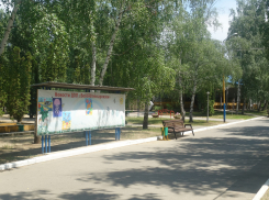 11 осмотрели, 6 забрали: подробности госпитализации детей с ожогами глаз из летнего лагеря под Волгоградом