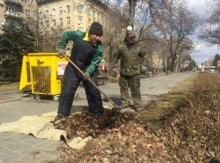 В центре Волгограда «будят» спящие розы