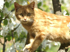 Прохладным и солнечным будет последний вторник весны в Волгоградской области