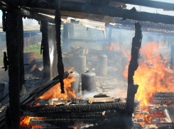 Под Волгоградом на пожаре из-за курения погиб 62-летний мужчина