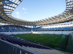 Футбольные поля на «Волгоград Арене» построят за 40 млн рублей