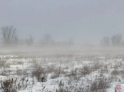 Выбилась из сил и упала в сугроб: под Волгоградом замерзающую спасли из гранд-пурги
