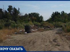 Избавить Мамаев курган от мусорных куч просит волгоградец через администрацию президента России
