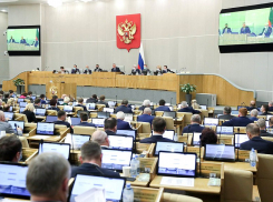 Горькую правду о внесенном в Госдуму бюджете страны расписал волгоградский фермер 