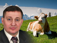 При Андрее Бочарове телки стали больше давать