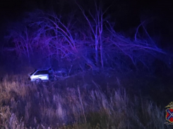 Навсегда 21-летний: волгоградский водитель погиб после столкновения с деревом