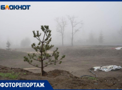 Будничный Сайлент Хилл в волгоградском ЦПКиО в объективе фотографа