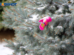 Волгоградцев ждет снежная туманная пятница