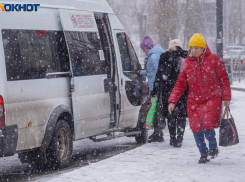Стоимость социальных проездных подняли в Волгоградской области 