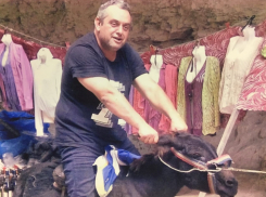 «Единая Россия» открестилась от подозреваемого в смертельном ДТП волгоградского депутата Алимова