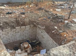 Мэрия разозлила волгоградцев рассказом о ежедневной уборке улиц