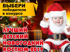 Стартовало голосование в конкурсе «Лучший детский новогодний костюм»
