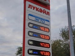 Волгоградский общественник признался, что не может привыкнуть к ценам на бензин