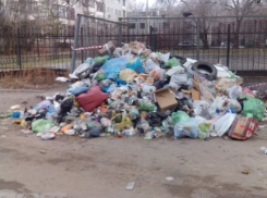 В Волгограде жители Спартановки погрязли в мусоре 