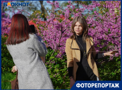 Волгоградцы открыли новое популярное место для весенних фотосессий