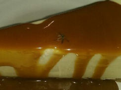 Посетитель ресторана быстрого питания купил чизкейк с комаром