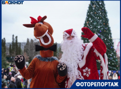 Особенный предновогодний период официально объявлен в Волгограде