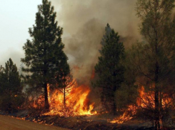 В Волгограде сохраняется высший уровень пожароопасности