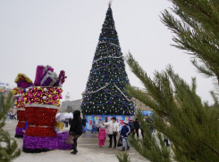 Рождественскую литургию в Волгограде проведут бывший и нынешний митрополит