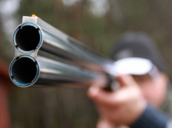 Под Волгоградом за охоту в заповеднике могут осудить местного депутата 