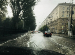 МЧС предупредило о сильном ветре и грозах в Волгоградской области