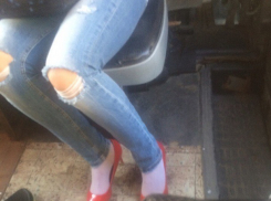 Интернет сразила волгоградка «на лабутенах и в офигительных штанах»